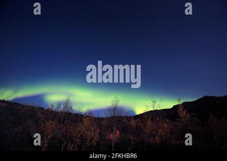 Aurore vue dans le parc national Denali Alaska USA Banque D'Images