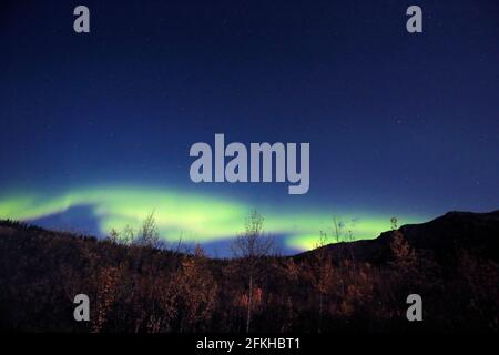 Aurore vue dans le parc national Denali Alaska USA Banque D'Images