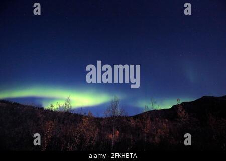 Aurore vue dans le parc national Denali Alaska USA Banque D'Images