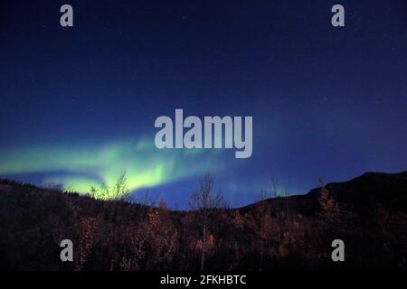 Aurore vue dans le parc national Denali Alaska USA Banque D'Images