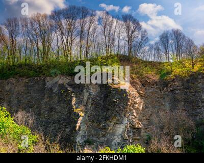 Arbres sans feuilles sur un rocher illuminé par le soleil Banque D'Images