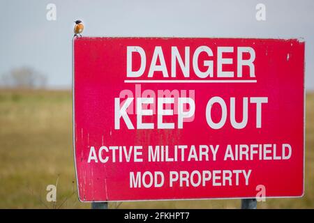 le stonechat s'est assis sur un panneau rouge vif danger keep out à la fin d'une piste d'herbe d'aérodrome Banque D'Images