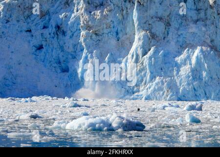 Effondrement du glacier à Kenai Fjords Alaska USA Banque D'Images