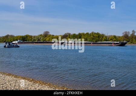 Haslau, Autriche - 24 avril 2021 : minuscule ferry pour les personnes et les vélos et unité de poussée sur le Danube dans le parc national Donau-Auen en Basse-Allemagne Banque D'Images