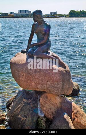 Copenhague, Danemark - 23 juin 2009 : la petite Sirène, au bord de l'eau de la promenade Langelinie, statue en bronze réalisée par Edvard Eriksen en 1913 Banque D'Images