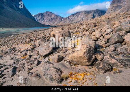 Journée d'été ensoleillée dans une vallée arctique éloignée du col Akshayuk, île de Baffin, Canada. Falaises abruptes et couleurs d'automne. Chutes Schwarzenbach dans la dista Banque D'Images