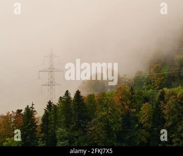 Lignes électriques au-dessus de la forêt menant au brouillard Banque D'Images