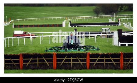 Aller avec l'histoire de Mathew Beard en comparant les années précédentes a annulé Cheltenham Gold Cup Festival à cette année Faucher des kilomètres de piste en préparation pour les courses.pic David Sandison 6/3/2002 Banque D'Images