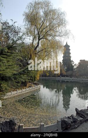 Temple Jinci près de Taiyuan, Shanxi , Chine. Vue sur la pagode du temple de Jinci en regardant de l'autre côté d'un lac avec un reflet de la pagode et du saule. Banque D'Images