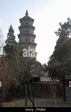 Temple Jinci près de Taiyuan, Shanxi , Chine. Vue sur la pagode du temple de Jinci depuis le jardin du temple avec des arbres au premier plan. Banque D'Images