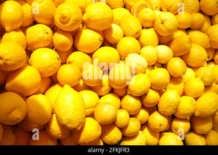 Récolter des fruits à la lumière du soleil de citron jaune biologique mûr frais sur le marché local des producteurs agricoles. Pile d'agrumes naturels pleine de vitamine C. Clean ea Banque D'Images