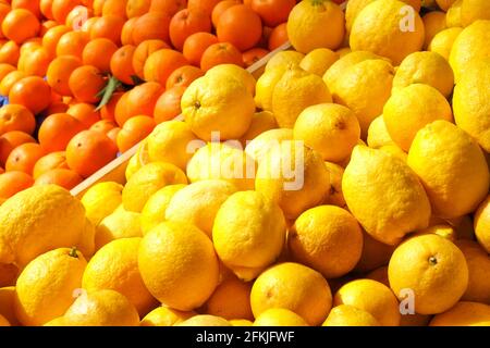 Récoltez des fruits frais mûrs de citron jaune biologique et d'orange à la lumière du soleil sur le marché local des producteurs agricoles. Mélange d'agrumes rempli de vitamine C. Clean Eat Banque D'Images