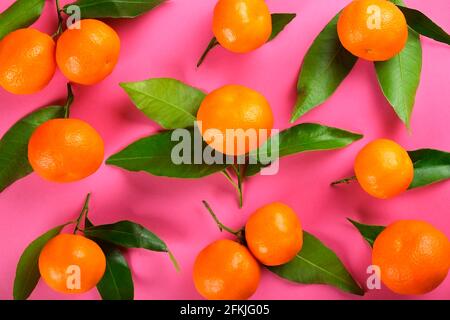 Composition de couche plate élégante d'oranges aciéries juteuses avec feuilles sur fond rose Uni. Bouquet de mandarines de clémentine mûres biologiques, végétaliens crus FO Banque D'Images