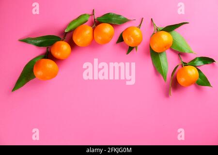 Composition de couche plate élégante d'oranges aciéries juteuses avec feuilles sur fond rose Uni. Bouquet de mandarines de clémentine mûres biologiques, végétaliens crus FO Banque D'Images