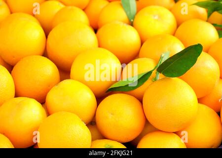 Récolte de tas d'oranges jaunes biologiques fraîches mûres au soleil sur le marché local des producteurs agricoles. Mandarine, pile mandarine d'agrumes entiers. Nettoyer e Banque D'Images