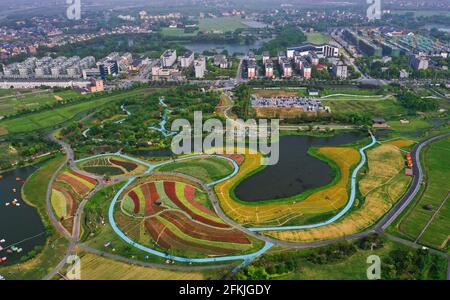 Hangzhou. 2 mai 2021. La photo aérienne prise le 2 mai 2021 montre des champs de fleurs dans le canton de Jingshan, district de Yuhang, à Hangzhou, capitale de la province de Zhejiang en Chine orientale. Du 1er au 5 mai, un carnaval d'animation se tient dans les champs de fleurs de la ville de Jingshan, dans le district de Yuhang, à Hangzhou. Credit: Xu Yu/Xinhua/Alay Live News Banque D'Images