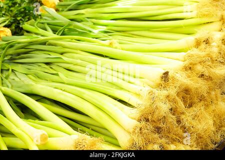 récolte pile de légumes verts en poireaux biologiques sains empilés pour être exposés à l'épicerie du supermarché. Concept de manger propre. Produ Banque D'Images