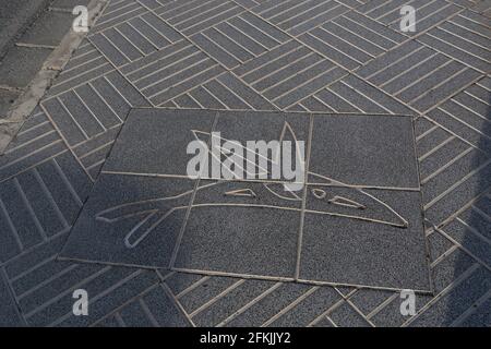 Dalle de pierre sur un trottoir avec une photo d'un dauphin Banque D'Images