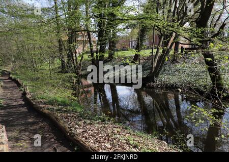 Park und Wald am Bach Aue, der über die Sterderau in die Ilmenau fließt, Bad Bodenteich, Niedersachsen, Deutschland Banque D'Images