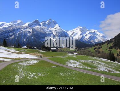 Prairie verte et montagnes enneigées Schluchhore et Oldehore. Banque D'Images