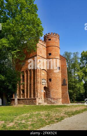 Pologne, Zmigrod, château, Silesia voïvodeship. Banque D'Images