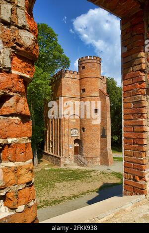 Pologne, Zmigrod, château, Silesia voïvodeship. Banque D'Images