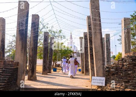 Sri Lanka île étonnante avec une grande culture Banque D'Images