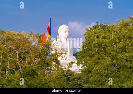 Sri Lanka île étonnante avec une grande culture Banque D'Images