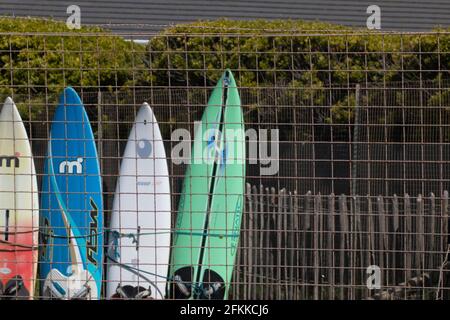 planches de surf alignées derrière une clôture en fil de fer Banque D'Images
