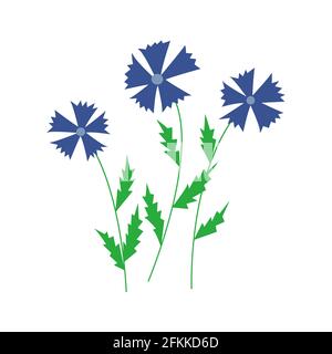 Cornflowers. Trois fleurs sauvages. Illustration vectorielle colorée dessinée à la main Illustration de Vecteur