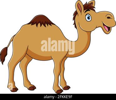 Illustration de dessin animé animal mignon Camel Illustration de Vecteur