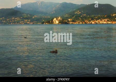 Lago d'Orta, un des lacs d'Italie . Vue sur la petite île d'Orta San Giulio ati coucher de soleil. Piémont, Italie Banque D'Images