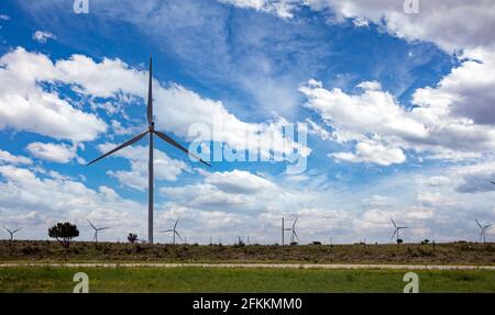 Parc éolien, éoliennes, usine d'énergie alternative sur un champ vert, jour de printemps ensoleillé. Production d'énergie écologique. Texas, États-Unis Banque D'Images