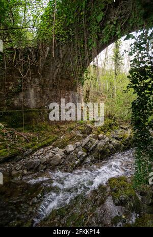 Ancien pont romain caché dans la forêt près de Castiglion Fiorentino, Arezzo, Toscane, Italie. Un beau ruisseau coule sous lui Banque D'Images