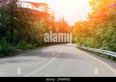 Une route pittoresque au milieu de la forêt en été, par une journée ensoleillée. Belle autoroute vide dans la nature. Photo de haute qualité Banque D'Images