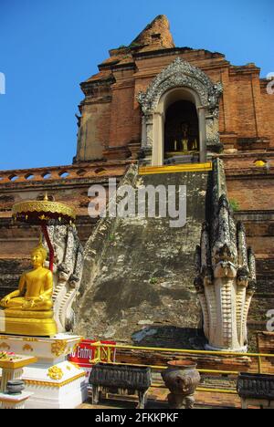 Wat Chedi Luang, vieille ville, Chiang Mai, Thaïlande, Asie Banque D'Images