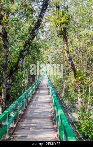 Promenade dans le parc écologique Harbaria de Sundarbans, au Bangladesh Banque D'Images