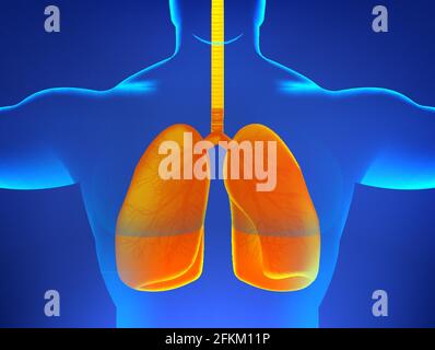 Rayons X corps humain avec poumons malades, pneumonie, virus, asthme ou autres maladies associées aux poumons humains. Hologramme 3D du corps humain et poumons orange Illustration de Vecteur