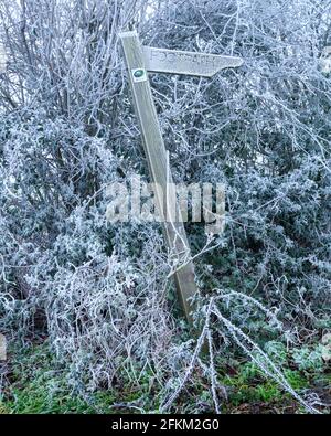 Warnford, Royaume-Uni - 1er janvier 2021 : givre et gel le jour de l'an 2021 sur Wheely Down au-dessus de la vallée de Meon dans le South Downs National Banque D'Images