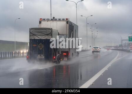 Varsovie, Pologne - 16 avril 2021 : transport de chevaux dans une remorque sur l'autoroute sous la pluie. Banque D'Images