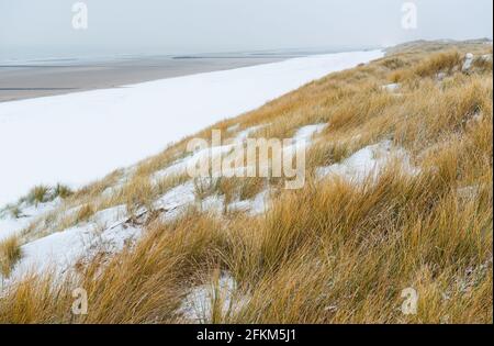 Dunes de sable d'Oostende (Ostende) dans la neige en hiver au bord de la mer du Nord, Belgique. Banque D'Images