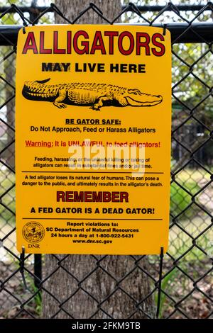 Un panneau avertissant les gens des alligators Banque D'Images