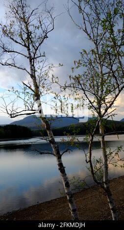 Cooper Lake situé à Lake Hill NY est le plus grand lac naturel des montagnes Catskill. Il sert de réservoir d'eau potable pour la ville de Kingston Banque D'Images