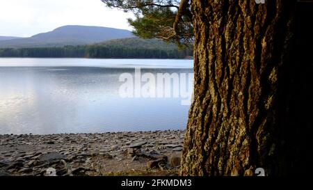 Cooper Lake situé à Lake Hill NY est le plus grand lac naturel des montagnes Catskill. Il sert de réservoir d'eau potable pour la ville de Kingston Banque D'Images