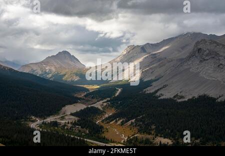 Vue sur les montagnes Mont Wilcox et Nigel Peak et Wilcox Pass en automne, Parker Ridge, Sunwapta Pass, Icefields Parkway, parc national Jasper Banque D'Images