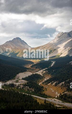 Vue sur les montagnes Mont Wilcox et Nigel Peak et Wilcox Pass en automne, Parker Ridge, Sunwapta Pass, Icefields Parkway, parc national Jasper Banque D'Images