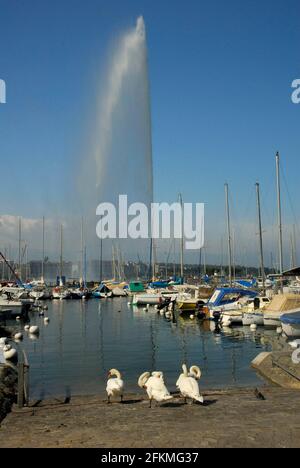 Jet d'eau, Lac Léman, Port, Lac Léman, Genève, Canton de Genève, Suisse Banque D'Images