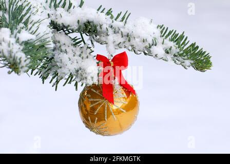 Boule de Noël sur branche de sapin, boule de Noël, décorations d'arbre de Noël Banque D'Images