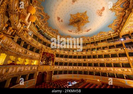 Auditorium avec galerie dorée, Opéra la Fenice, Venise, Vénétie, Italie Banque D'Images