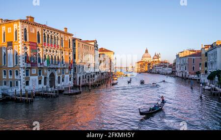 Ambiance nocturne, vue du Ponte dell'Accademia au Grand Canal avec télécabine, Basilique Santa Maria della Salute, Venise, Vénétie, Italie Banque D'Images